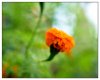 10/Kathmandu 146 (Small).jpg